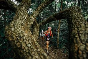 BIB: 
                            <button type="button" onclick="openModal(25669345)" class="btn btn-primary btn-sm float-right btn-popup" data-toggle="modal" data-target=".modal-high-quality">
                        <i class="fas fa-shopping-cart"></i> Add to Cart
                    </button>
                                            <button type="button" onclick="isThisMe(25669345, true)" class="btn btn-success btn-sm float-right btn-popup btn-isme hidden" data-toggle="tooltip" data-placement="bottom" title="นี่คือรูปของคุณใช่ไหม คลิกที่นี่เพื่อเอาเข้าอัลบั้ม">
                        <i class="fas fa-plus"></i> Add to album
                    </button>
                    <button type="button" onclick="isThisMe(25669345, false)" class="btn btn-warning btn-sm float-right btn-popup btn-isnotme hidden">
                        <i class="fas fa-ban"></i> Remove from album
                    </button>